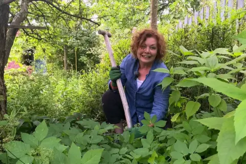 Frau im Garten mit Schaufel, um Giersch zu erkennen. Giersch ist ein hartnäckiges Kraut, das man im Auge behalten muss.