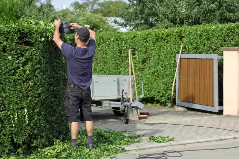 Mann in Bayern schneidet mit Heckenschere eine dichte grüne Hecke. Schnittgut liegt auf dem Gehweg.